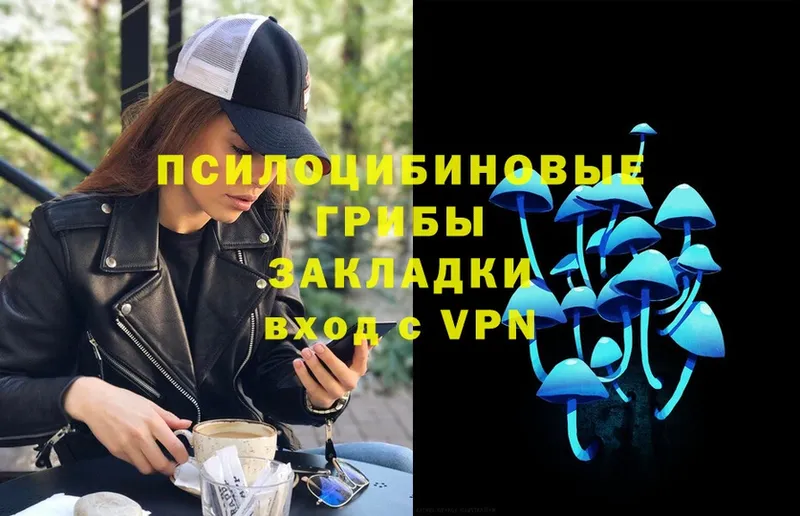 Галлюциногенные грибы Psilocybe  OMG как войти  Соликамск 